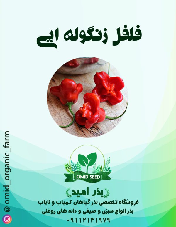 بذر فلفل زنگوله ایی - تصویر 1