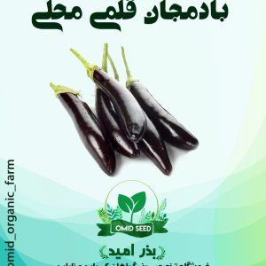 بذر بادمجان قلمی محلی