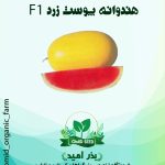 بذر هندوانه پوست زرد هیبرید