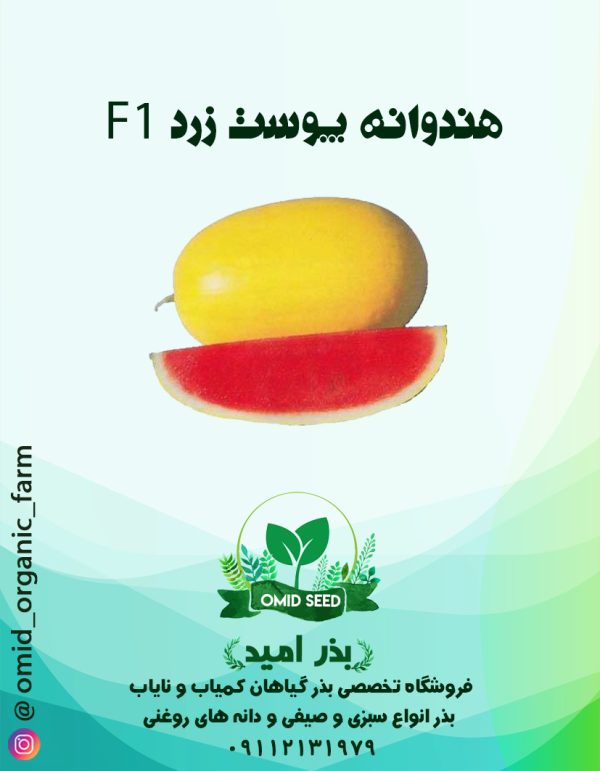 بذر هندوانه پوست زرد هیبرید - تصویر 1