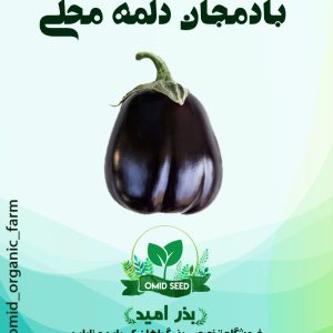 بذر بادمجان دلمه محلی