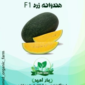 بذر هندوانه سیاه تو زرد هیبرید