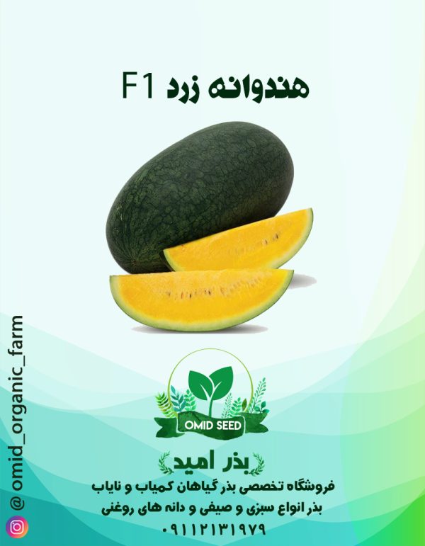 بذر هندوانه سیاه تو زرد هیبرید - تصویر 1