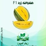 بذر هندوانه کریمسون تو زرد هیبرید