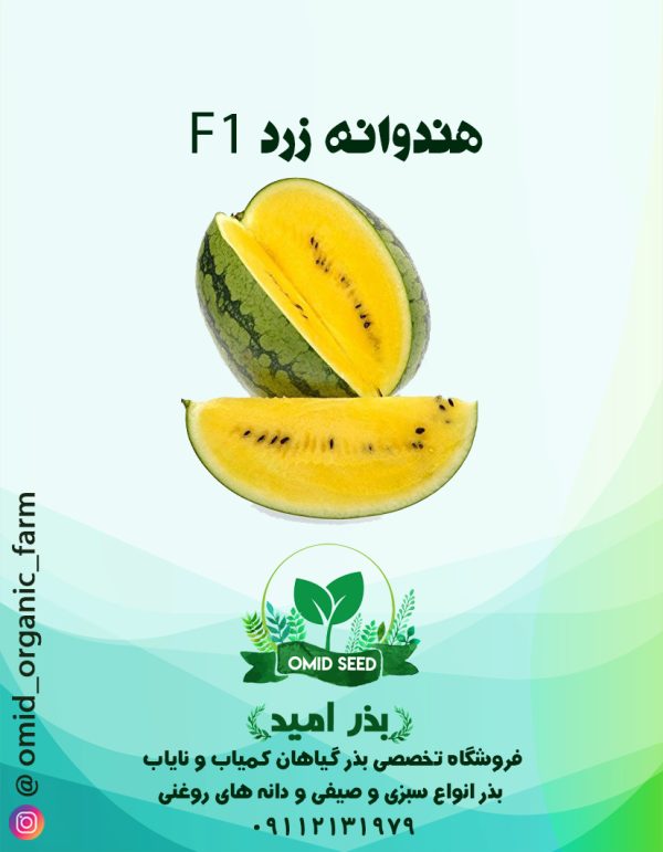 بذر هندوانه کریمسون تو زرد هیبرید - تصویر 1