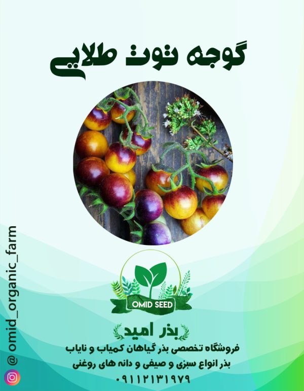 بذر گوجه چری توت طلایی - تصویر 1