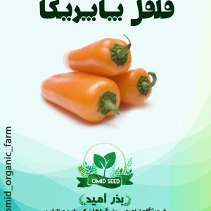 بذر فلفل پاپریکا