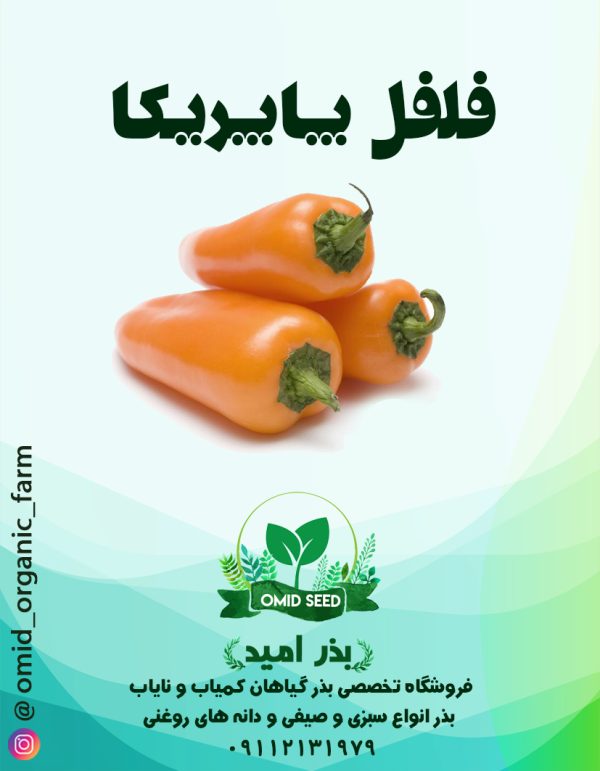 بذر فلفل پاپریکا - تصویر 1