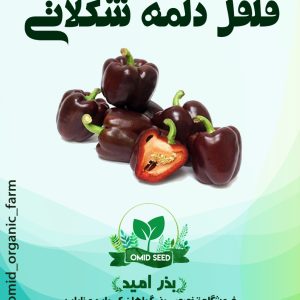 بذر فلفل دلمه شکلاتی