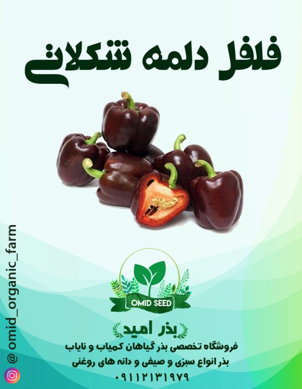 بذر فلفل دلمه شکلاتی - تصویر 1