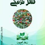 بذر فلفل تزئینی
