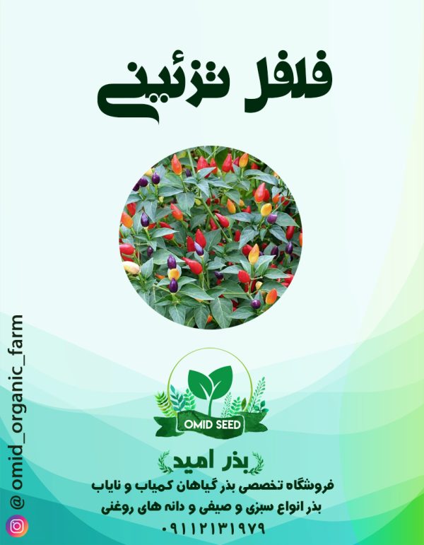 بذر فلفل تزئینی - تصویر 1