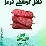 بذر فلفل گوشتی قرمز
