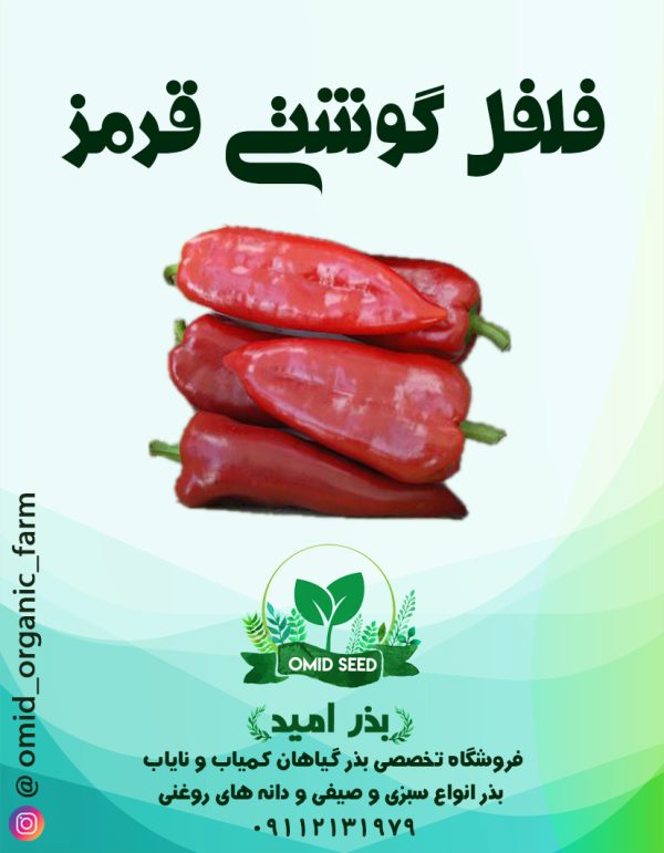 بذر فلفل گوشتی قرمز - تصویر 1