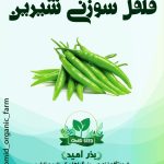 بذر فلفل سوزنی شیرین