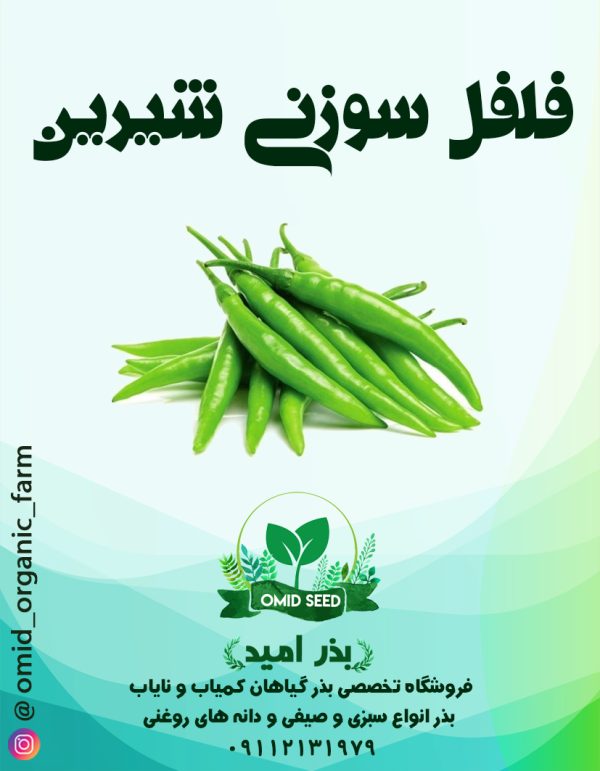 بذر فلفل سوزنی شیرین - تصویر 1