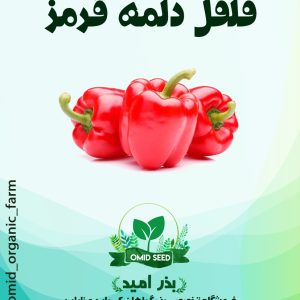 بذر فلفل دلمه قرمز استاندارد