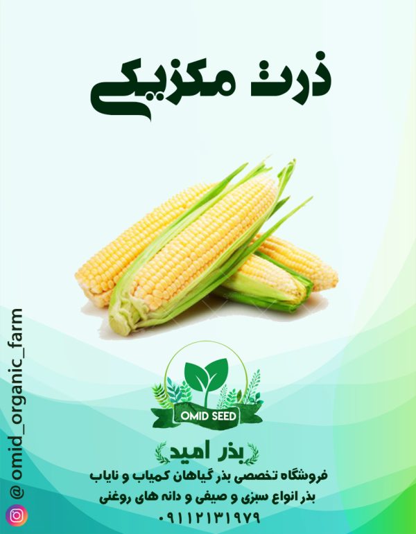 بذر ذرت مکزیکی سوئیت رویال - تصویر 1