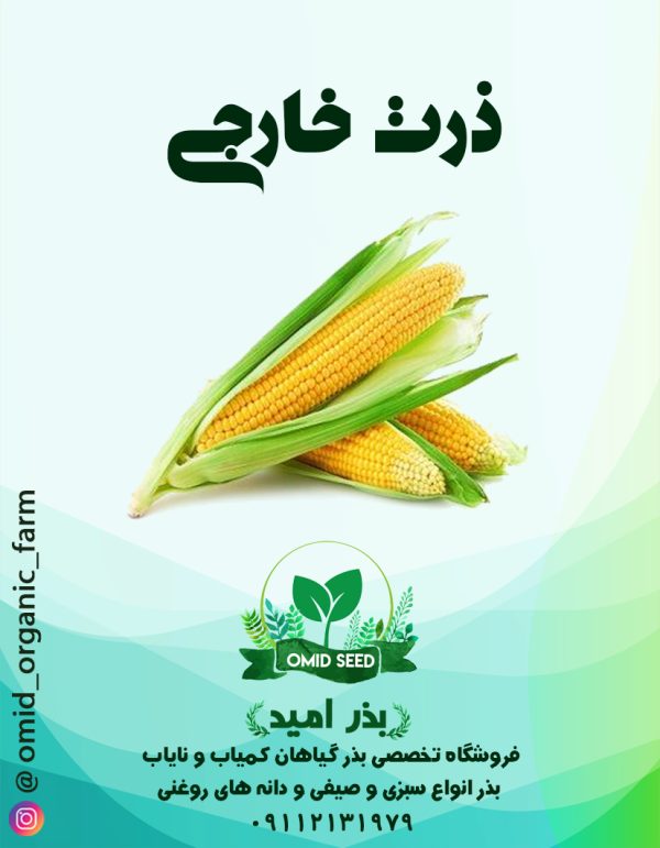 بذر شیر بلال خارجی ( دو منظوره ) - تصویر 1