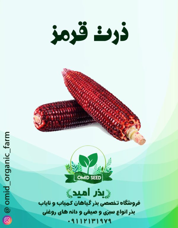 بذر ذرت قرمز - تصویر 1
