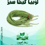 بذر لوبیا رشته ایی سبز ( گیتا )