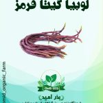 بذر لوبیا رشته ایی قرمز ( گیتا قرمز )