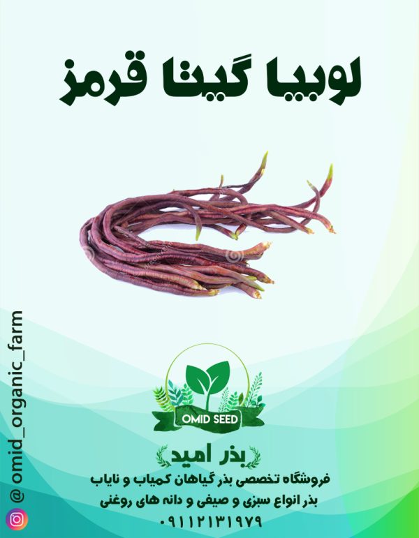 بذر لوبیا رشته ایی قرمز ( گیتا قرمز ) - تصویر 1