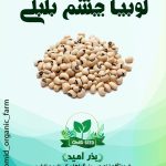 بذر لوبیا چشم بلبلی