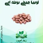 بذر لوبیا چیتی بوته ایی ( پا کوتاه )