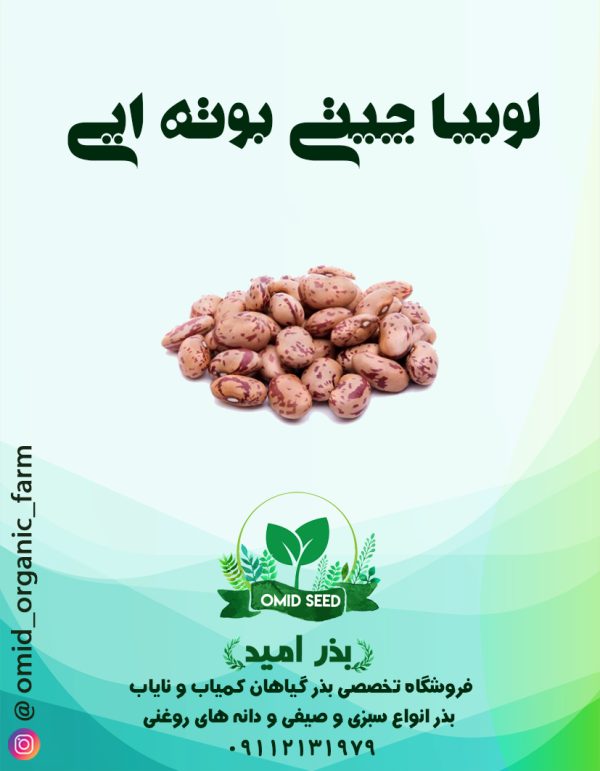 بذر لوبیا چیتی بوته ایی ( پا کوتاه ) - تصویر 1