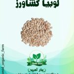 بذر لوبیا کشاورزی