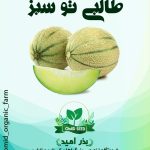 بذر طالبی