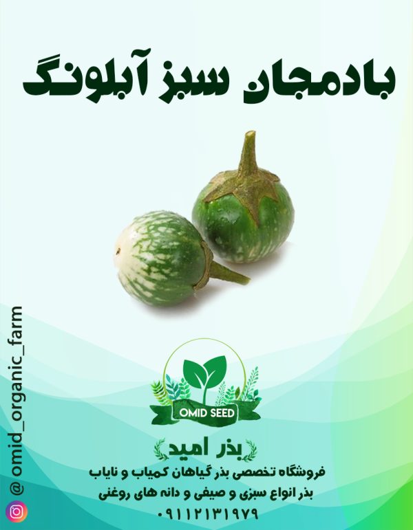 بذر بادمجان آبلونگ سبز - تصویر 1