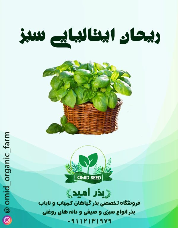 بذر ریحان ایتالیایی سبز - تصویر 1