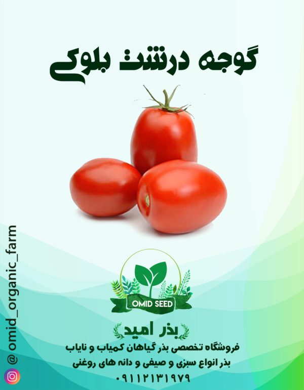 بذر گوجه درشت بلوکی ( کاملا کشیده ) - تصویر 1