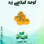 بذر گوجه گیلاسی زرد