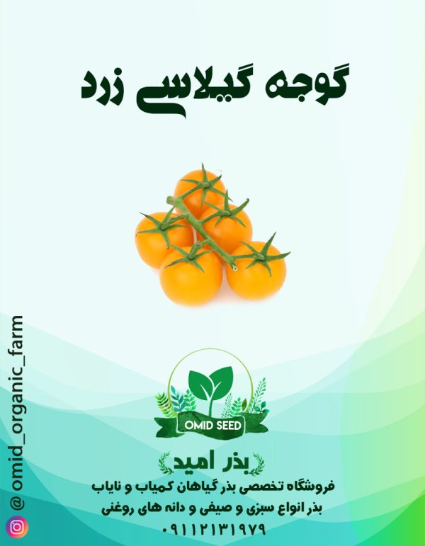 بذر گوجه گیلاسی زرد - تصویر 1