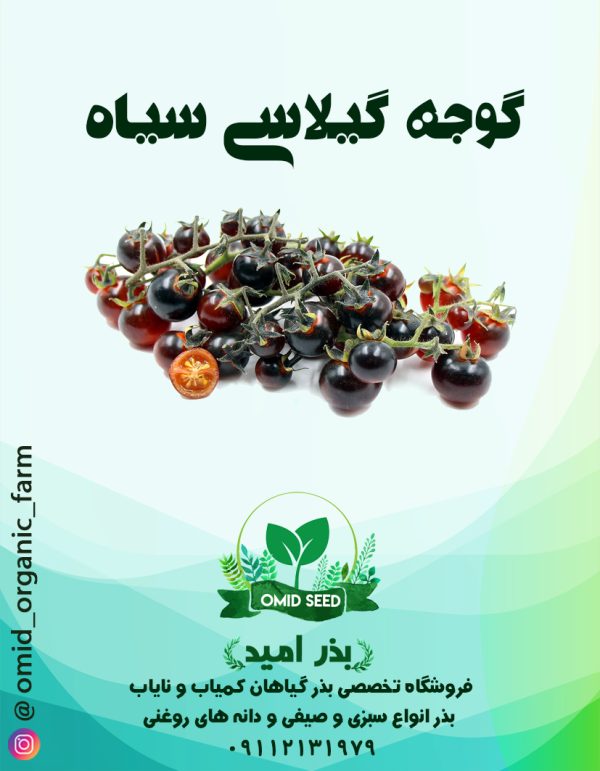 بذر گوجه چری سیاه و قرمز - تصویر 1