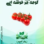 بذر گوجه چری ایتالیایی