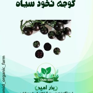 بذر گوجه نخودی سیاه