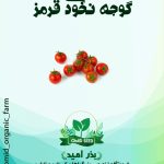 بذر گوجه ریز آلبالویی (گوجه نخودی )