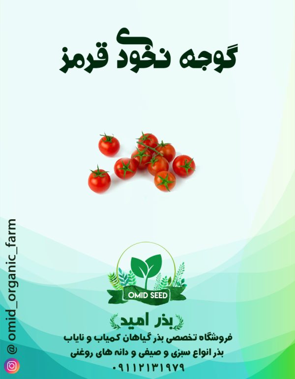بذر گوجه ریز آلبالویی (گوجه نخودی ) - تصویر 1