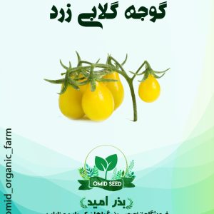 بذر گوجه گلابی زرد