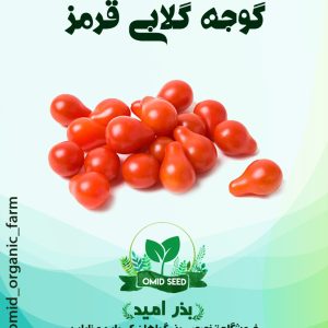 بذر گوجه گلابی قرمز