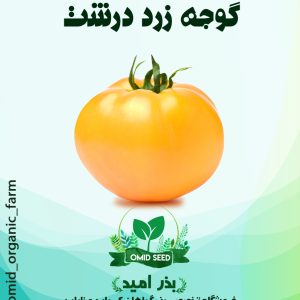 بذر گوجه زرد درشت