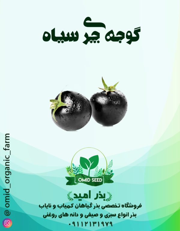 بذر گوجه چری سیاه - تصویر 1