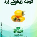 بذر گوجه زیتونی زرد
