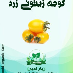 بذر گوجه زیتونی زرد