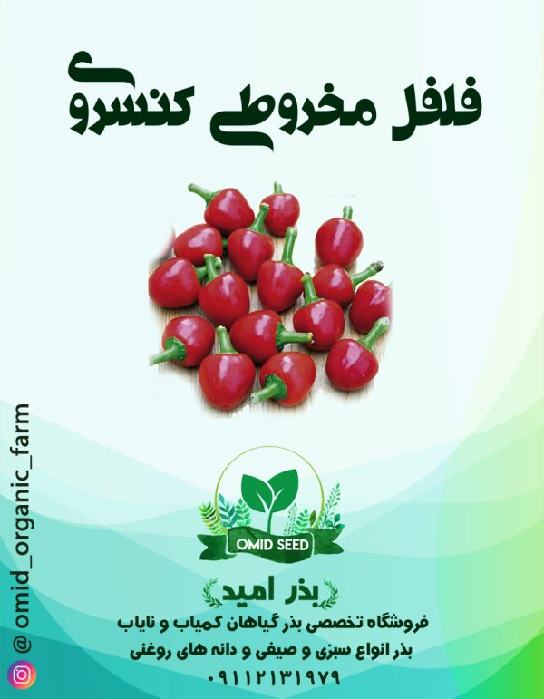 بذر فلفل گیلاسی مخروطی - تصویر 1