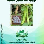 بذر لوبیا شمشیری سفید